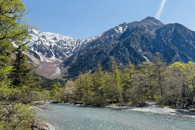 Clear, shallow river with a pebbled bottom winds through a forest toward snow-capped mountains under a bright blue sky.