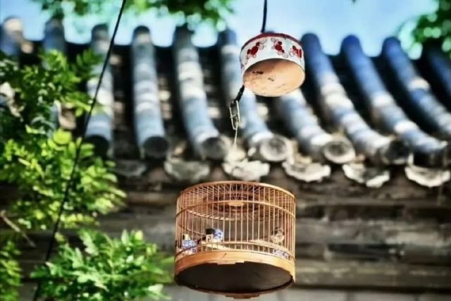 Two small birds inside a round brown wire cage hanging in a sunlit garden with green leaves and a tiled roof in the background.
