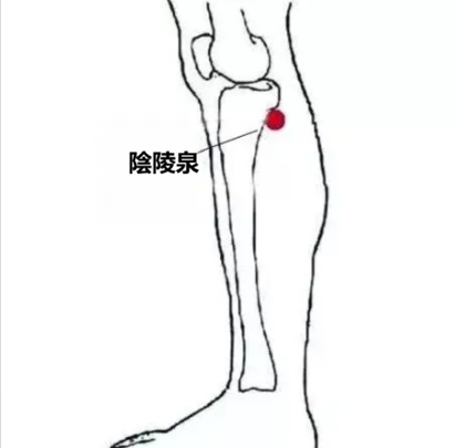 Diagram of a leg with the Yinlingquan (陰陵泉) acupuncture point on the inner lower leg marked by a red dot.