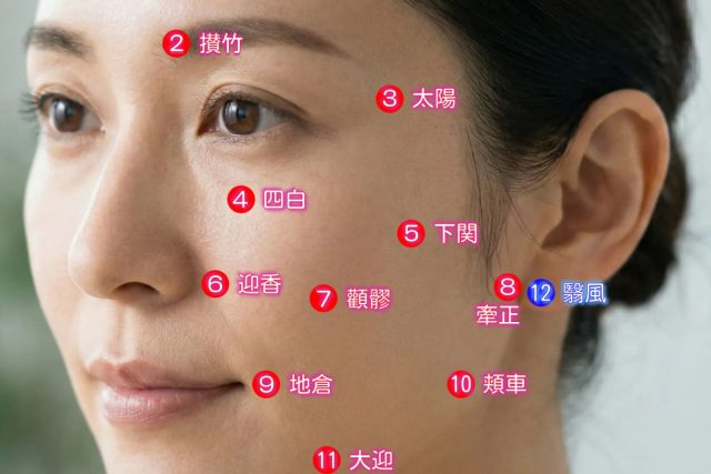 顔面神経麻痺鍼治療のツボ